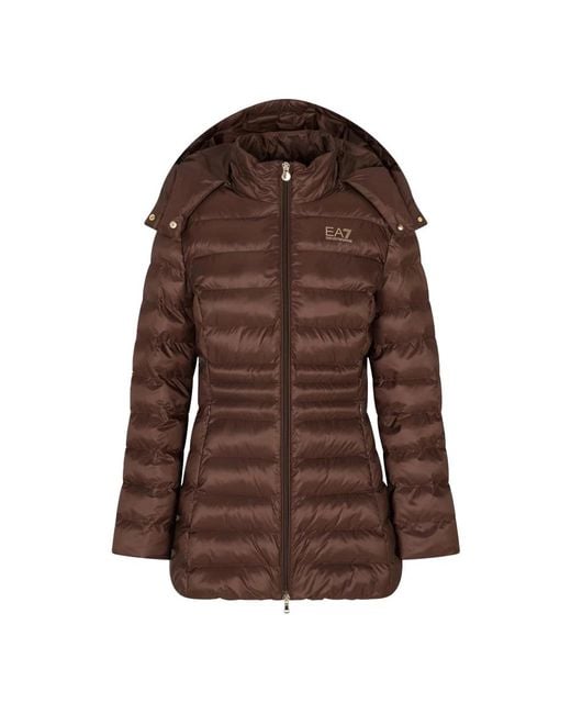 Winter Jackets EA7 en coloris Brown