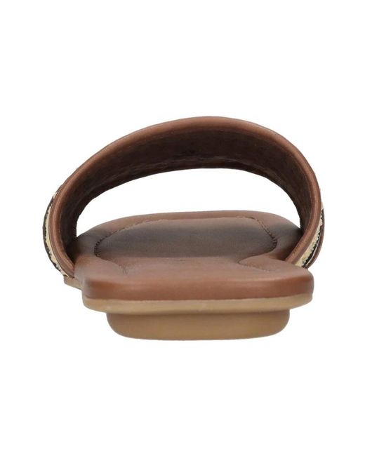Hogan Brown Sliders