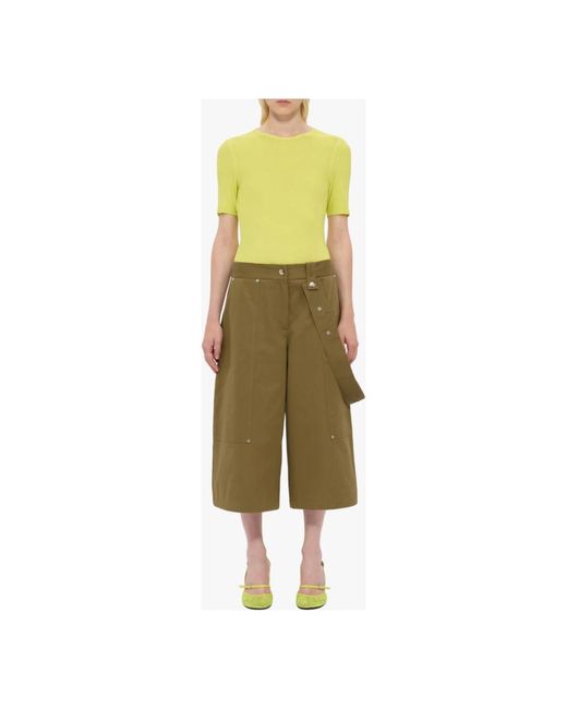 MSGM Zwembroek in het Green