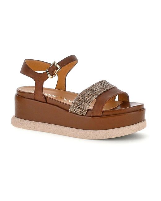 Wedges Stonefly en coloris Brown