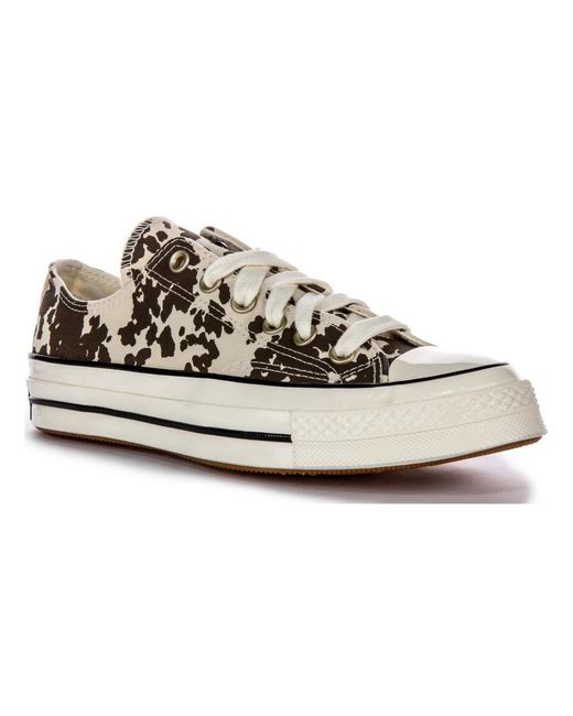 Converse Brown Sneakers