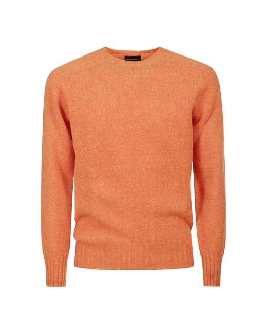Howlin' By Morrison Orange Round-Neck Knitwear for men
