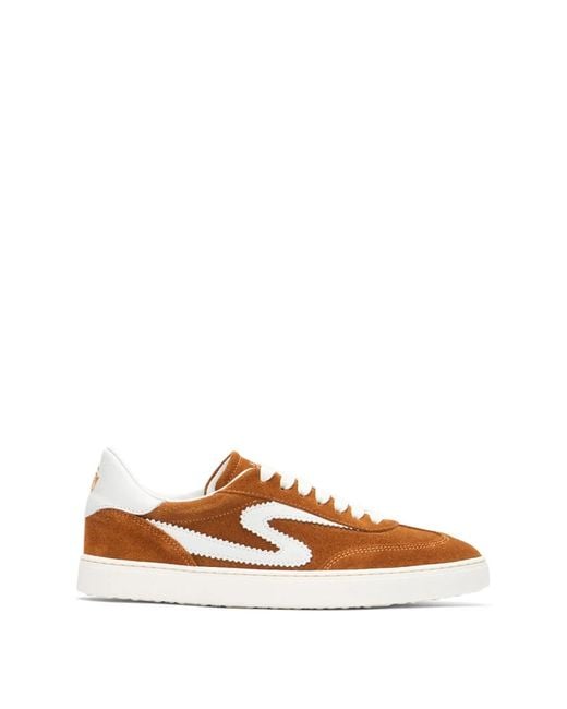 Stuart Weitzman Brown Sw Runaround Sneaker