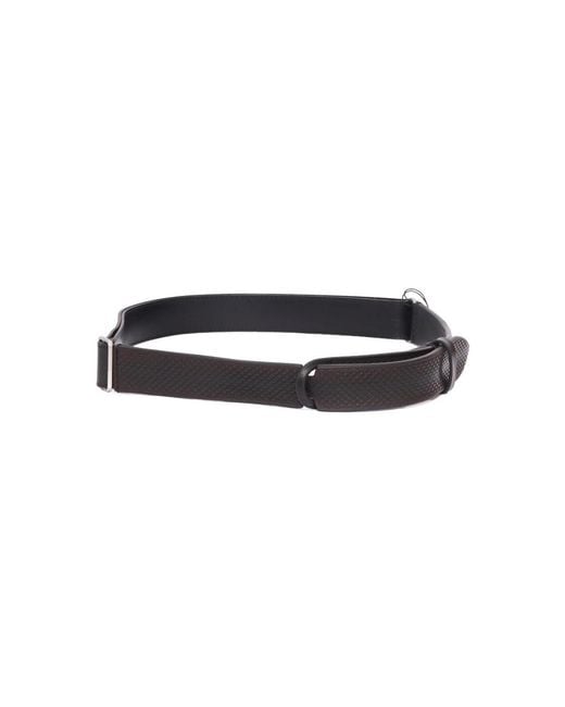 Orciani Black Belts