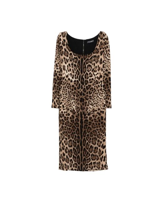 Dolce & Gabbana Brown Midi Dresses