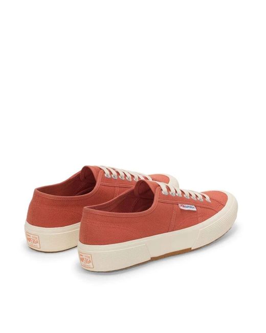 Superga Pink Klassische Braun Rötlich Off- Sneakers