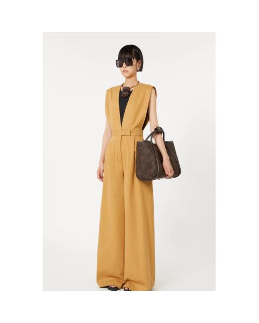 Max Mara Brown Shopping Bags