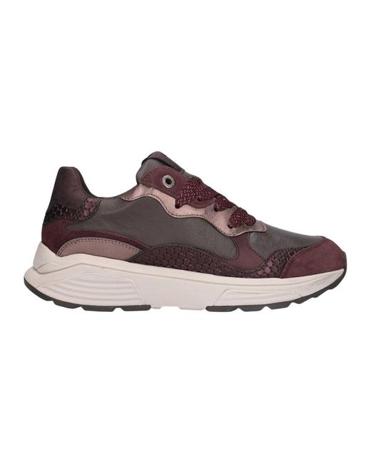 Xsensible Brown Sneaker
