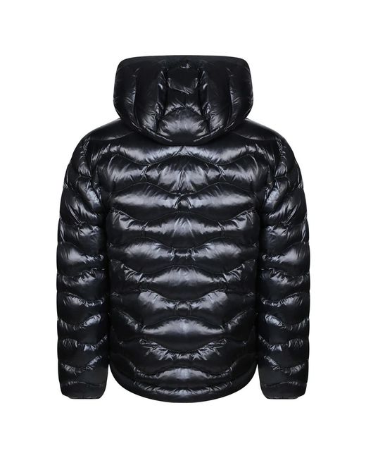 Winter Jackets Blauer de hombre de color Black