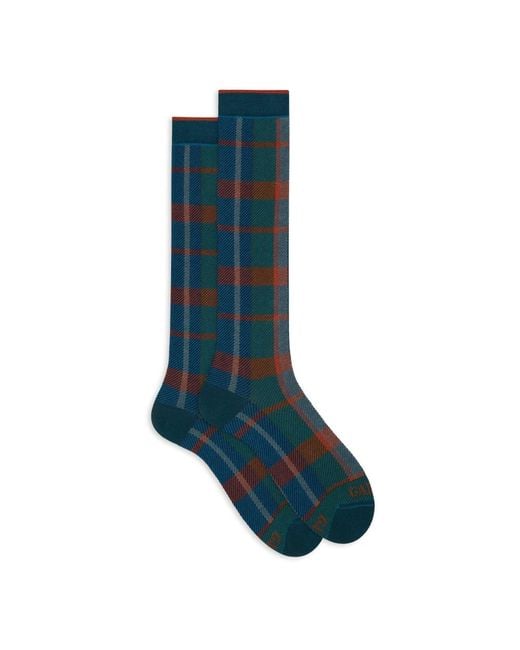 Gallo Lange Katoenen Tartan Sokken in het Blue voor heren
