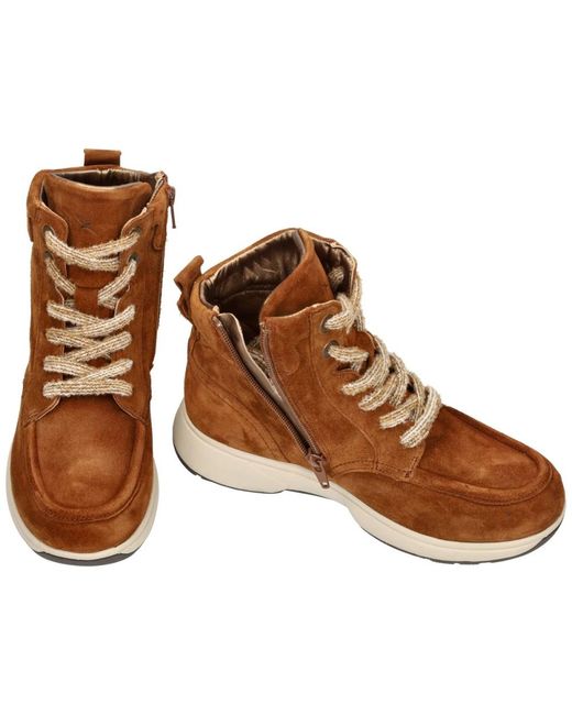 Xsensible Brown Stretchwalker Romagna