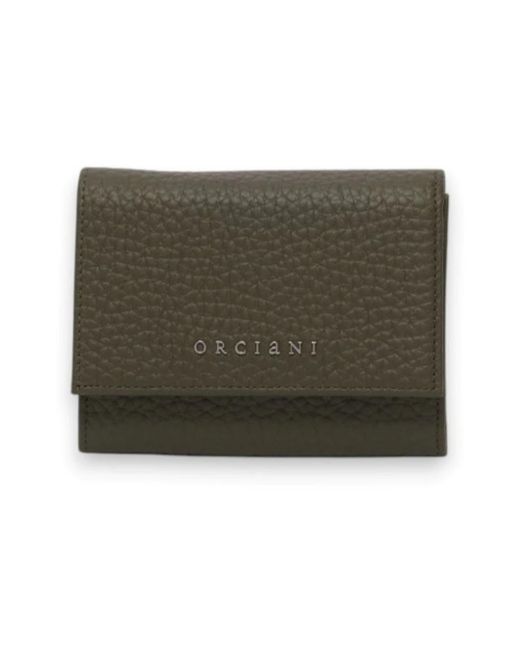 Wallets & Cardholders di Orciani in Green
