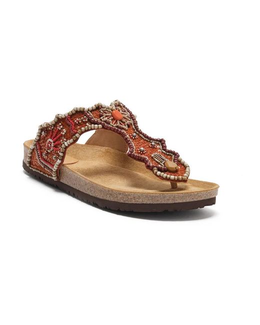 Maliparmi Brown Flip Flops