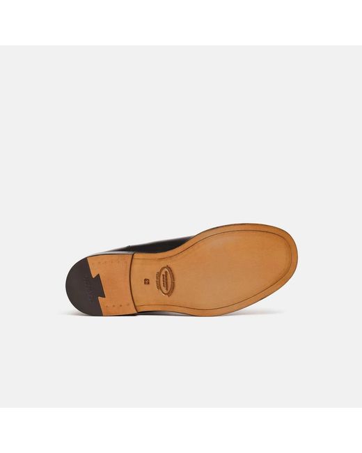 Scarosso Black Chelsea Boots for men