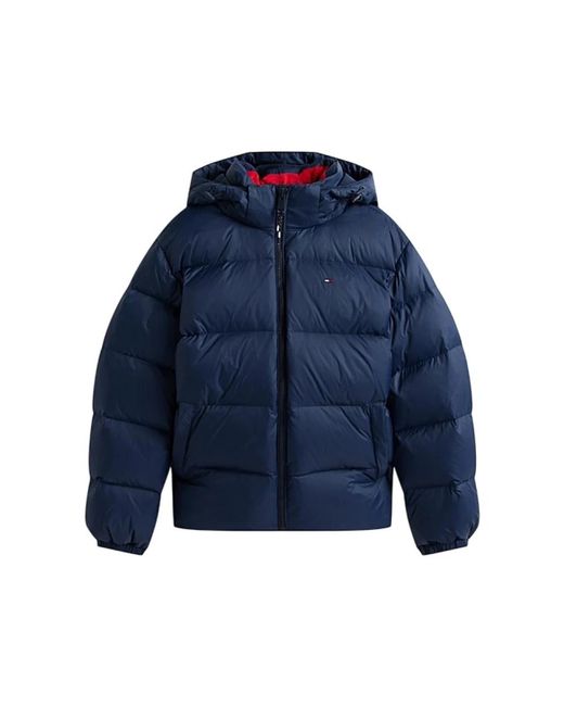 Tommy Hilfiger Blue Winter Jackets for men