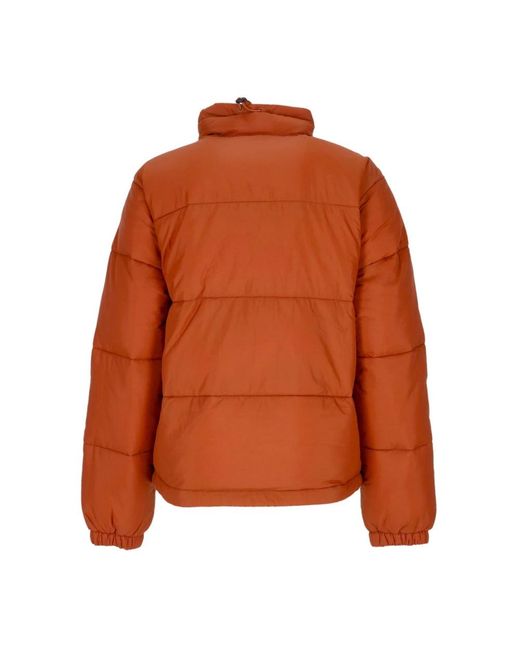 Winter Jackets di Dickies in Orange