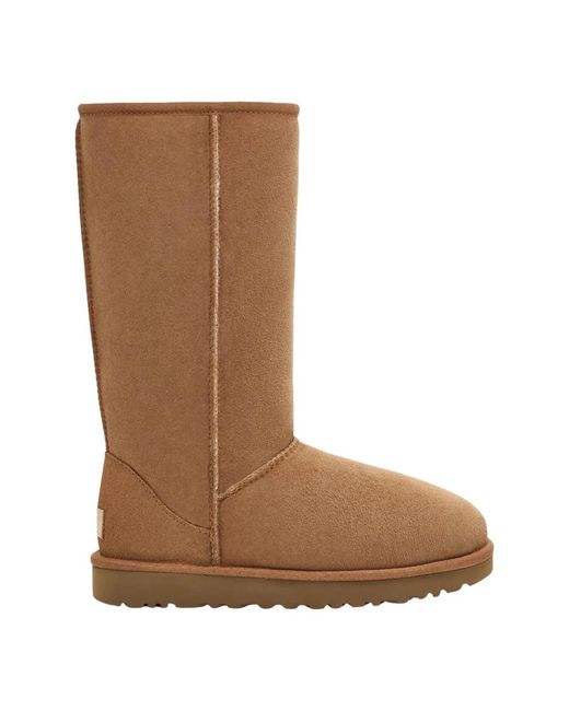 Winter Boots Ugg en coloris Brown