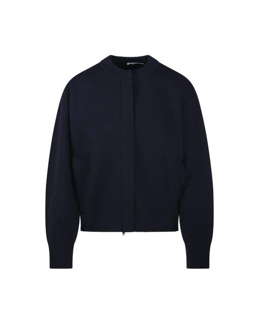 Max Mara Truien & Vesten ,Bruin ,Wol Pelago Cardigan in het Blue