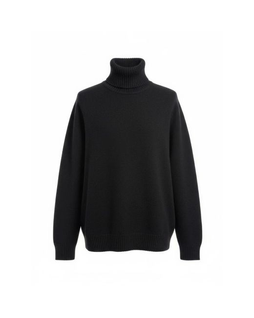 Alberta Ferretti Black Turtlenecks