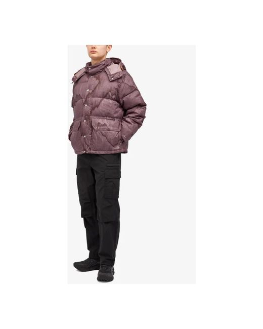 The North Face Fitness ,Grijs ,Polyester Heritage 71 Sierra Donsjas in het Purple voor heren