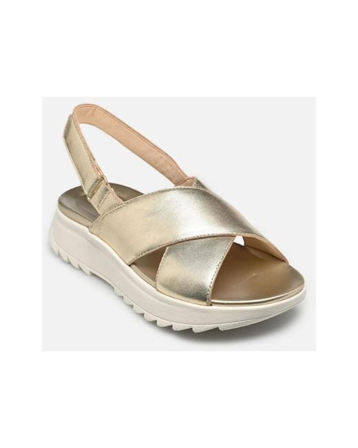 Clarks Metallic Dashlite Wish
