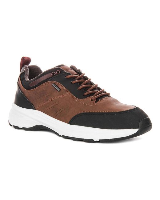 Geox Brown Sneakers for men