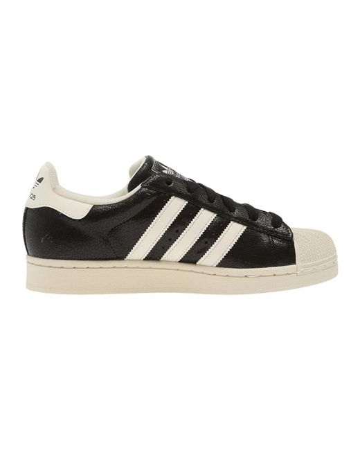 Adidas Superstar in het Black voor heren