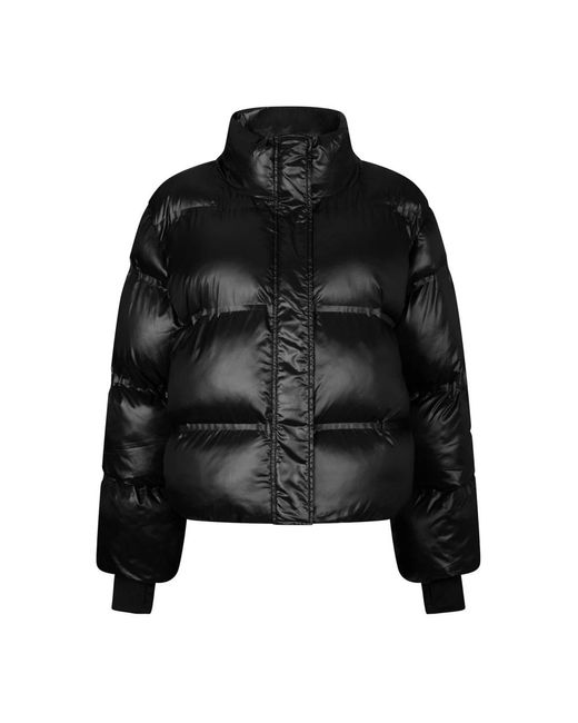 Neo Noir Winter Jackets in het Black