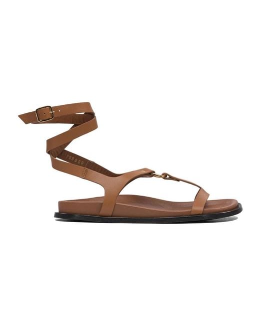 Alohas Brown Flat Sandals