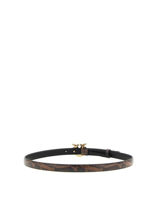 Pinko Black Belts
