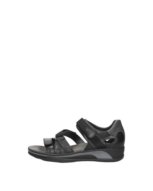 Flat Sandals Wolky en coloris Black