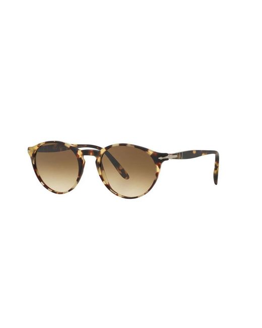 Persol Brown Sunglasses for men