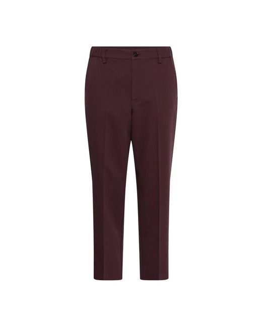Kaffe Cropped Broek in het Purple