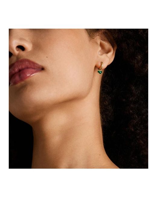 Earrings Fossil de color Metallic