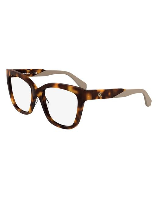 Calvin Klein Brown Glasses