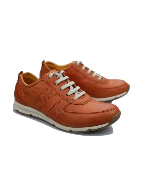 Camel Active Brown Sneakers