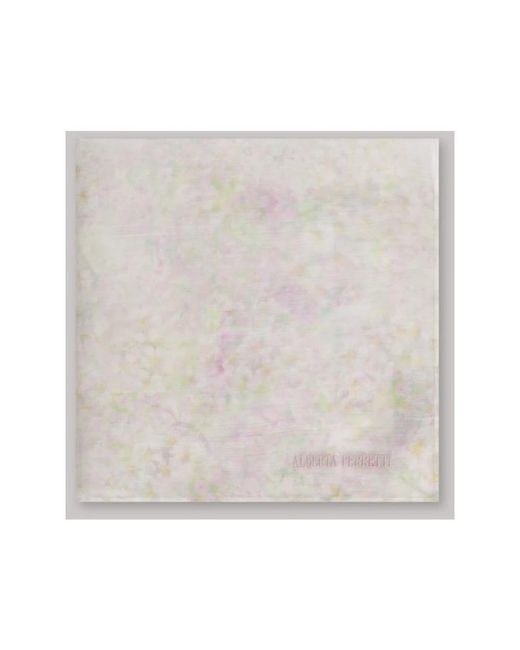 Alberta Ferretti Gray Silk Scarves