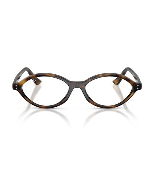 Ray-Ban Brown Glasses