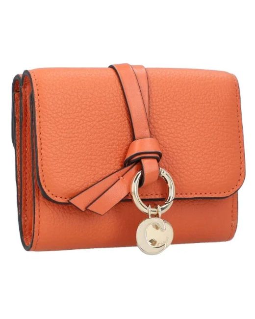 Wallets & Cardholders di Chloé in Orange