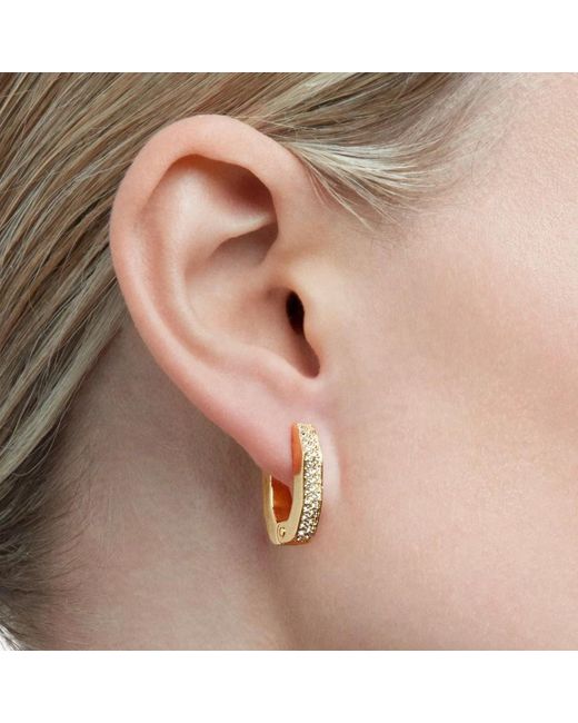 Swarovski Metallic Earrings