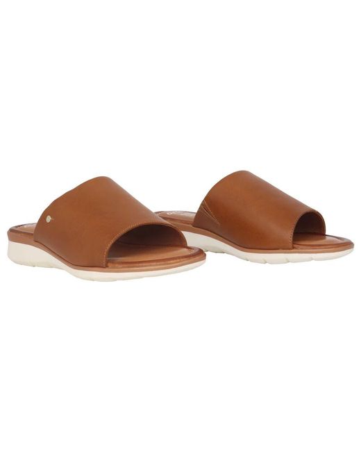 Sliders Ara de color Brown
