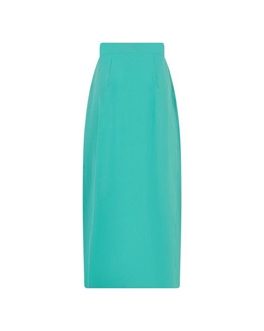 Alberta Ferretti Maxi Rok in het Green