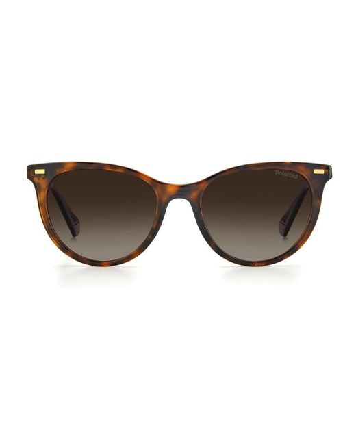 Polaroid Brown Sunglasses
