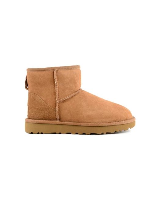 Winter Boots Ugg en coloris Brown