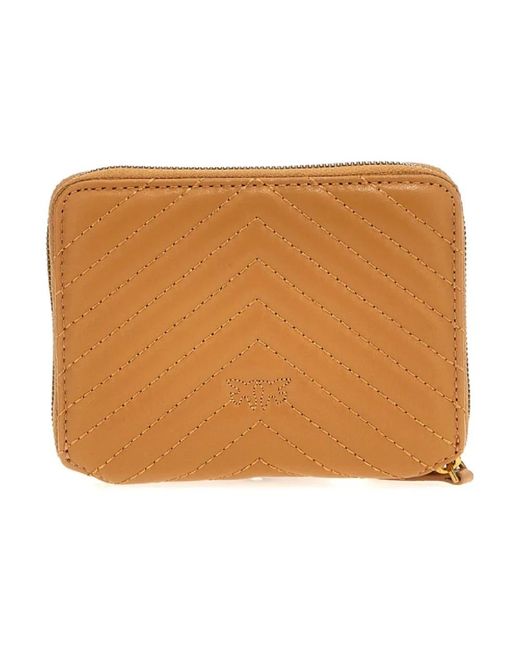 Wallets & Cardholders di Pinko in Brown