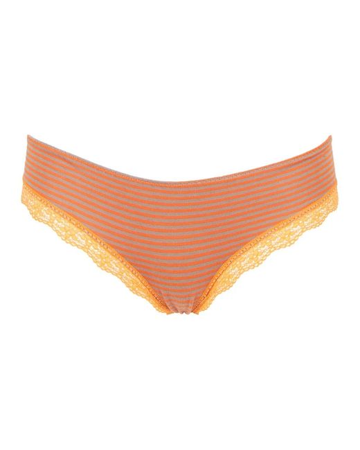 Gallo Bottoms in het Orange