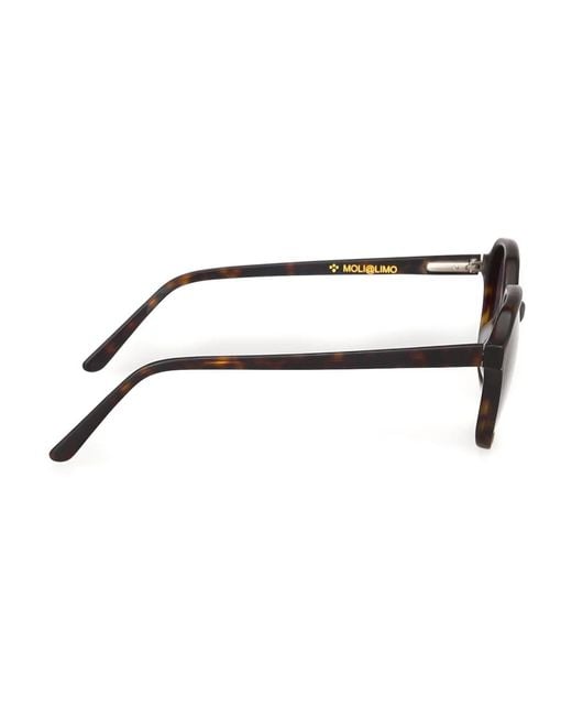 Moli Limo Brown Sunglasses