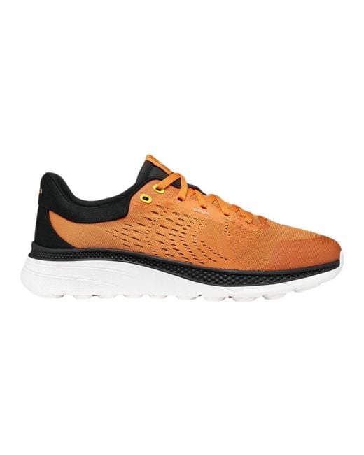 Geox Brown Sneakers for men
