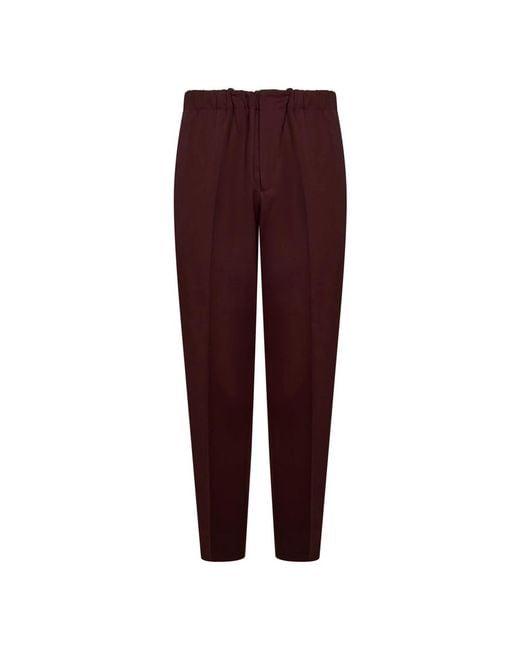 Jil Sander Broeken ,Bruin ,Wol Bruine Wollen Chino Met Relaxte Pasvorm in het Purple voor heren