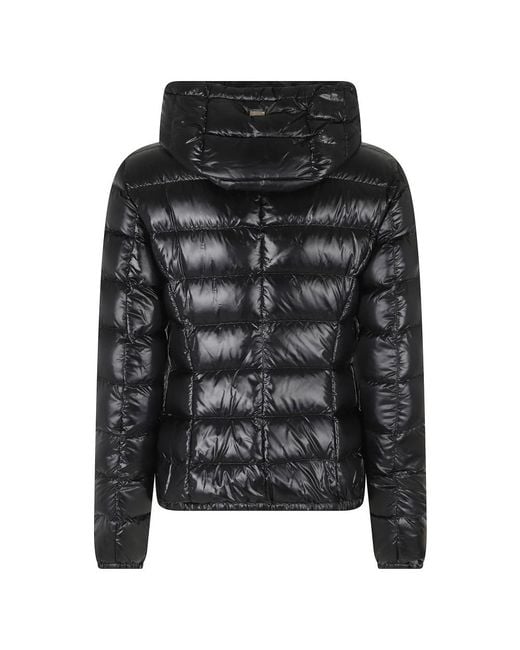 Winter Jackets Herno de color Black